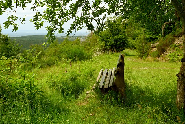 英联赛八强 英联赛八强
