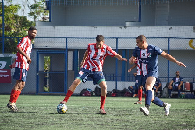 集体努力的 集体努力的