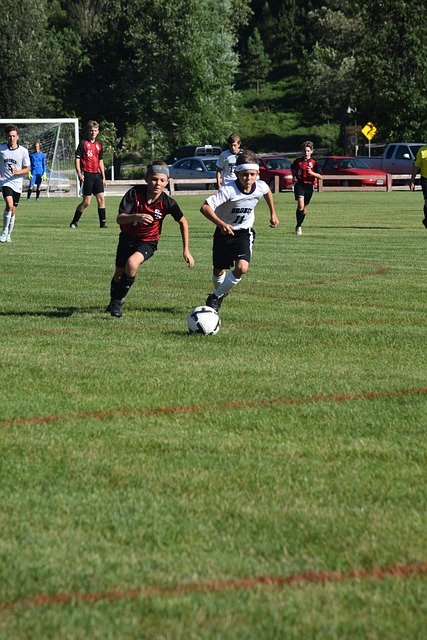 会提供一个 会提供一个