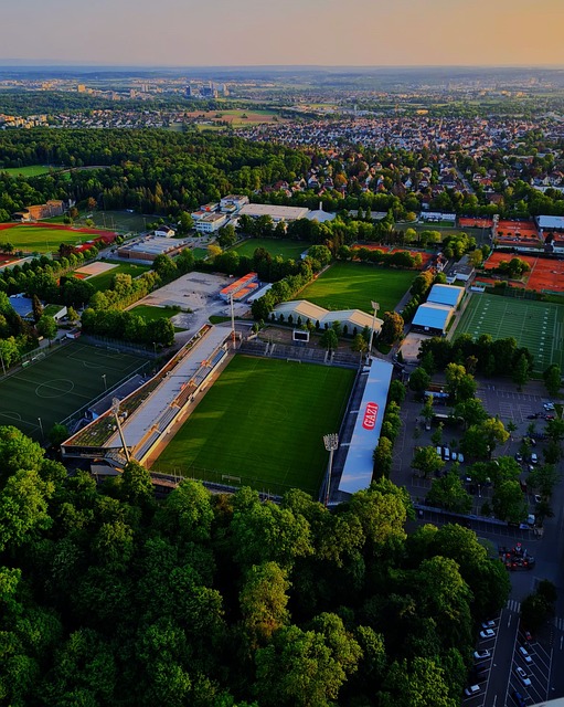 用实际行动 用实际行动